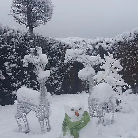 Alte Schule Haeuschen 펜션