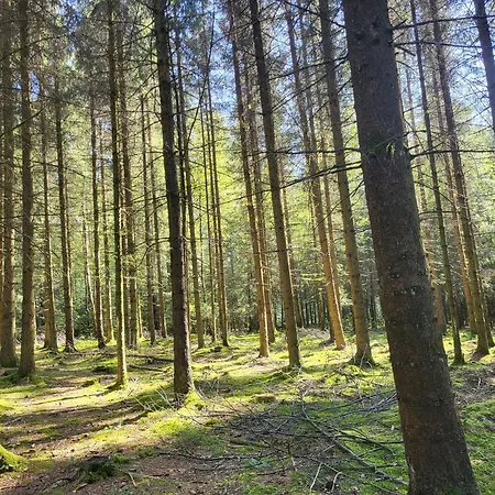 펜션 Alte Schule Haeuschen