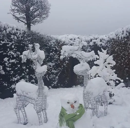 Alte Schule Haeuschen Prázdninový dům