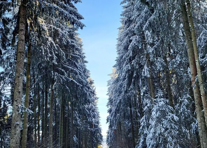 Alte Schule Haeuschen Hébergement de vacances