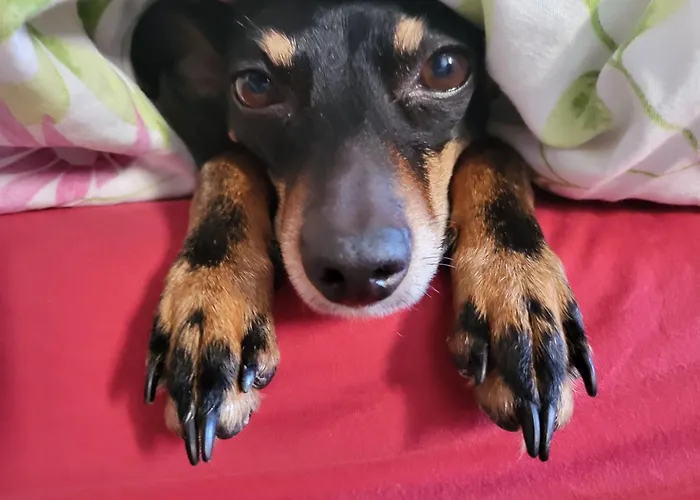 Hébergement de vacances Alte Schule Haeuschen St. Vith