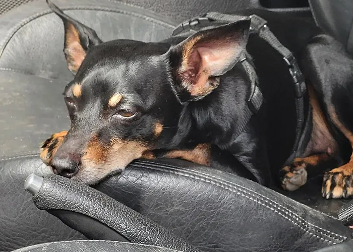 Alte Schule Haeuschen * St. Vith